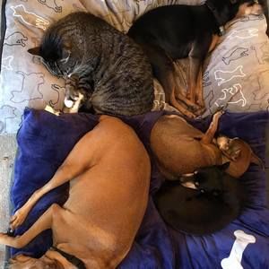 Meet your Posher, Stacey